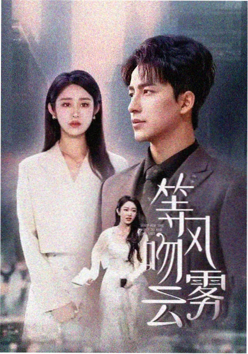 第九个嫌疑人 剧集在线看